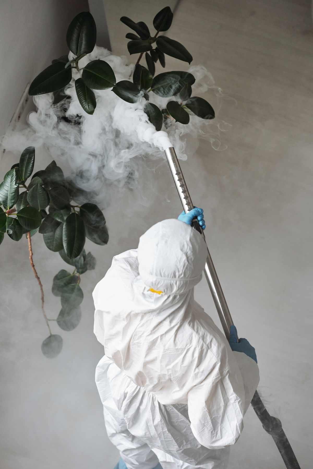 A person in a white protective suit and blue gloves directing a fog wand at a large indoor plant